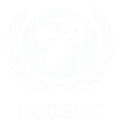 ECOSOC Icon