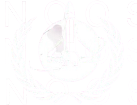 UNOOSA Icon